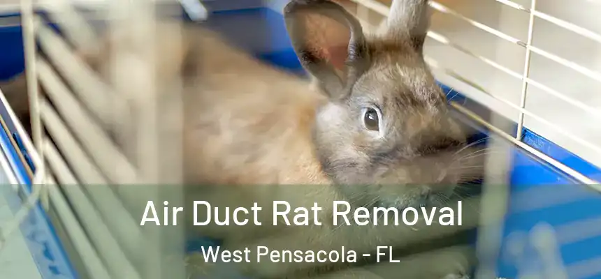 Air Duct Rat Removal West Pensacola - FL