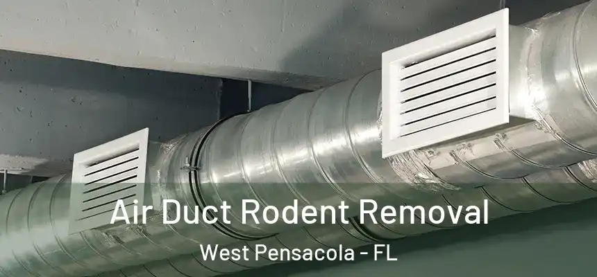 Air Duct Rodent Removal West Pensacola - FL