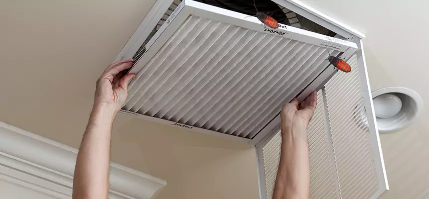 Preventive Cockroach-Proofing for Ducts in West Pensacola