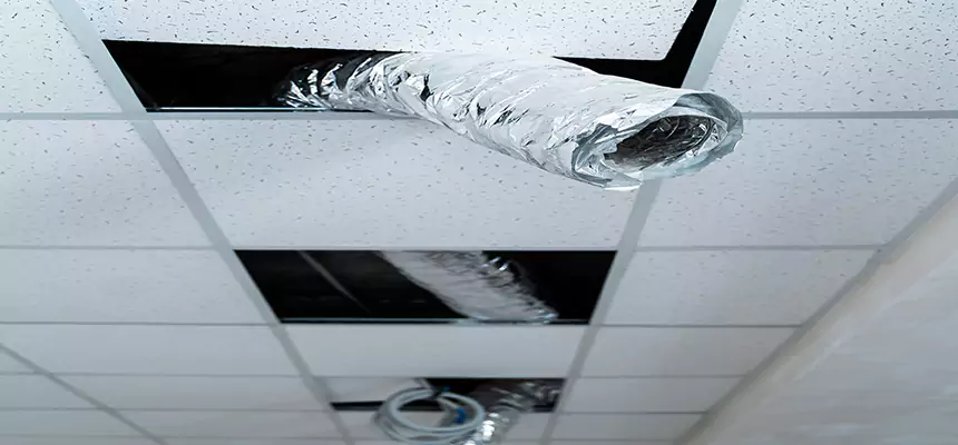 Affordable HVAC Sanitizing After Pest Removal in West Pensacola