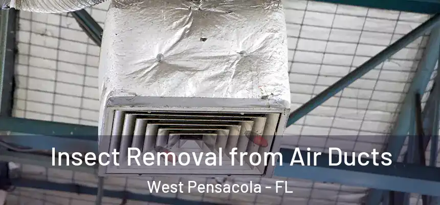  Insect Removal from Air Ducts West Pensacola - FL