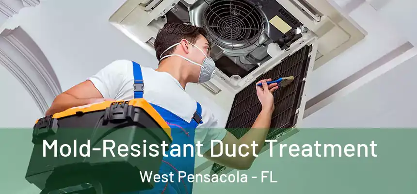 Mold-Resistant Duct Treatment West Pensacola - FL