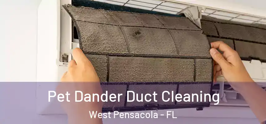 Pet Dander Duct Cleaning West Pensacola - FL