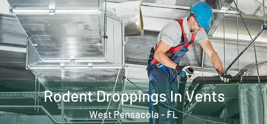 Rodent Droppings In Vents West Pensacola - FL