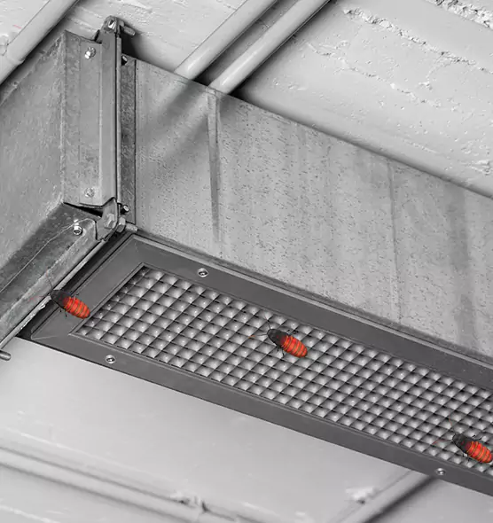 About Air Duct Cockroach Removal in West Pensacola, FL