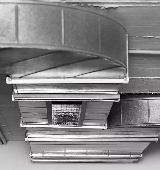 Professional Air Duct Pet Hair Removal in West Pensacola, FL