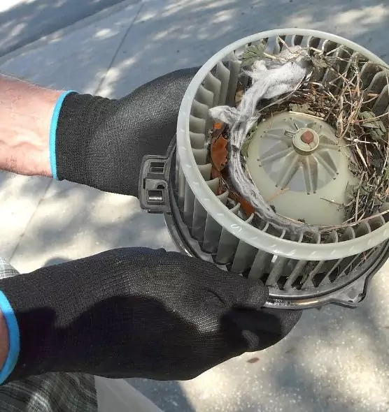 About Air Duct Rat Removal in West Pensacola, FL