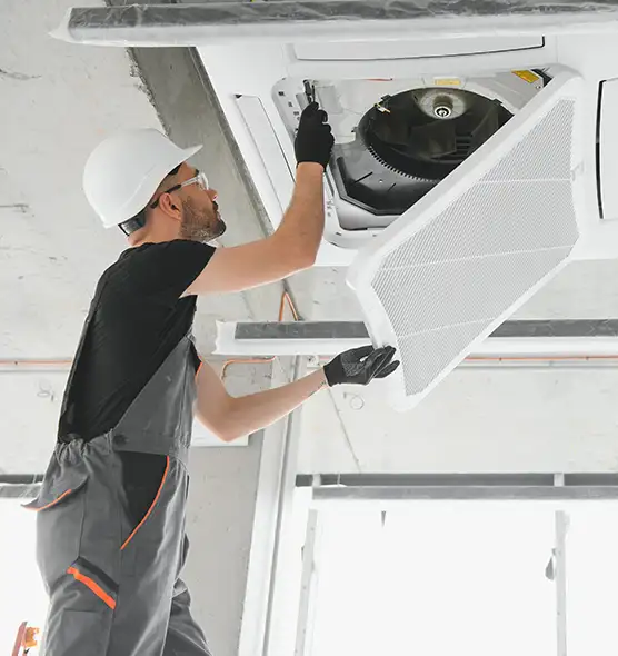 About Air Duct Rodent Removal in West Pensacola, FL