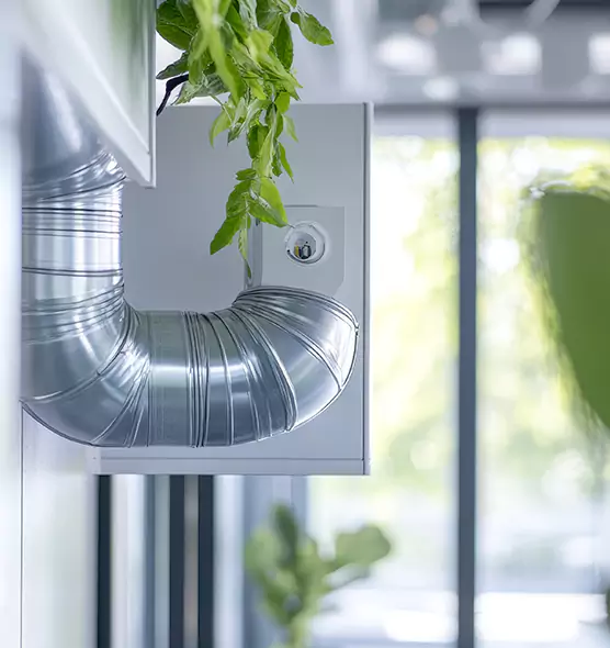 Professional Eco-Safe Dryer Vent Cleaning in West Pensacola, FL