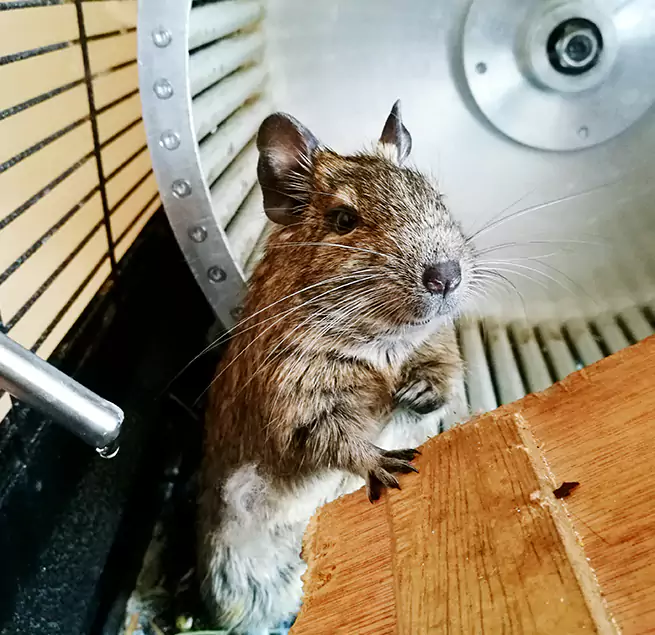 Why Homeowners & Businesses Trust Us West Pensacola, FL