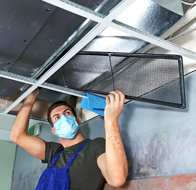 Why Homeowners Businesses Trust Us in West Pensacola, FL