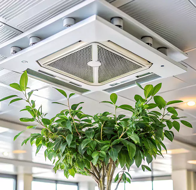 Why Homeowners & Businesses Trust Us in West Pensacola, FL