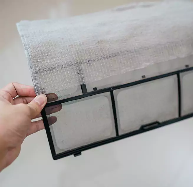 Why Homeowners & Businesses Trust Us in West Pensacola, FL?