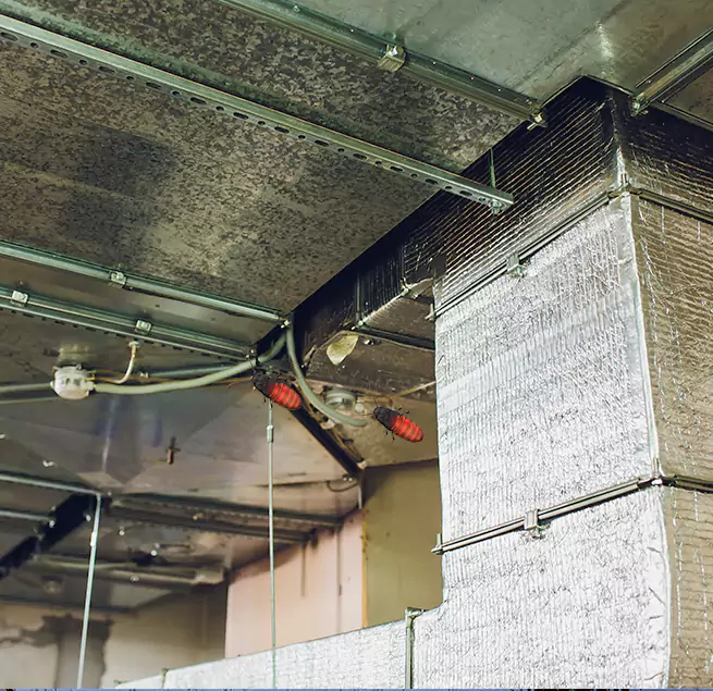 Why Homeowners & Businesses Trust Us West Pensacola, FL?