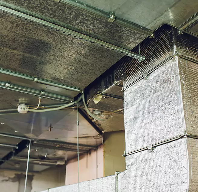 Why Homeowners & Businesses Trust Us in West Pensacola, FL?